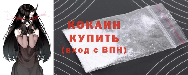 молекула духа Медвежьегорск