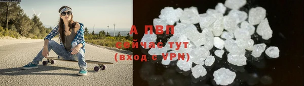 молекула духа Медвежьегорск