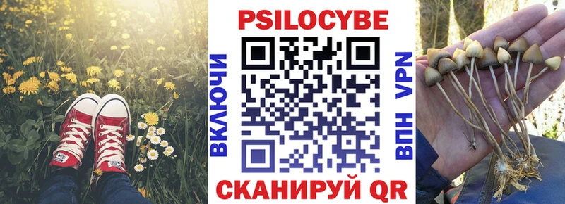 Псилоцибиновые грибы ЛСД  Каменногорск 