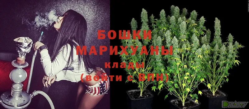 мориарти телеграм  Каменногорск  Конопля OG Kush  как найти   ссылка на мегу как войти 